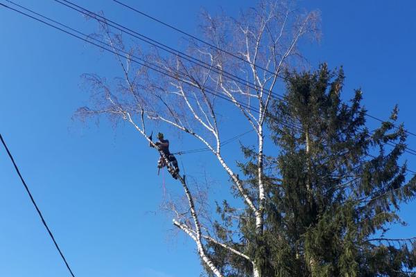 Freischneiden von Stromkabel